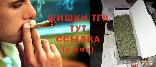 сатива Аркадак