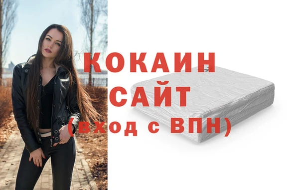 сатива Аркадак