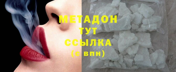 сатива Аркадак