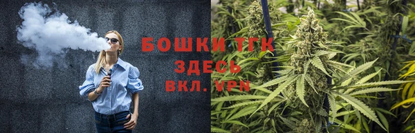 сатива Аркадак