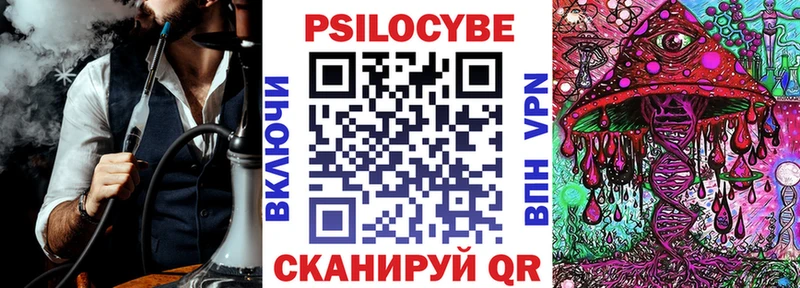 Купить  Феодосия  Псилоцибиновые грибы Psilocybine cubensis 